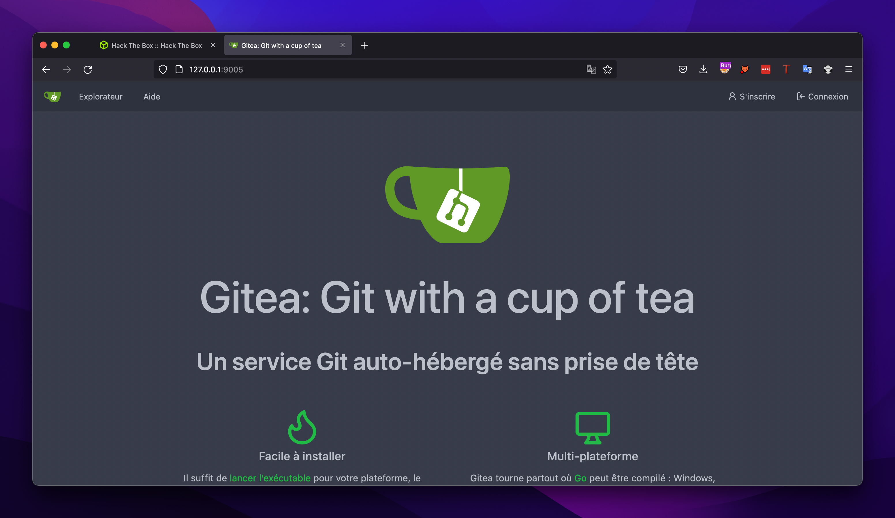 Gitea